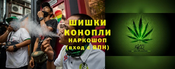 стаф Корсаков