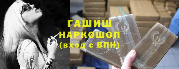 стаф Корсаков