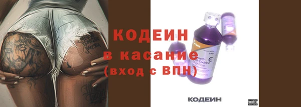 стаф Корсаков