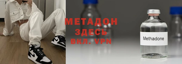 стаф Корсаков