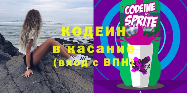 шишки Краснослободск