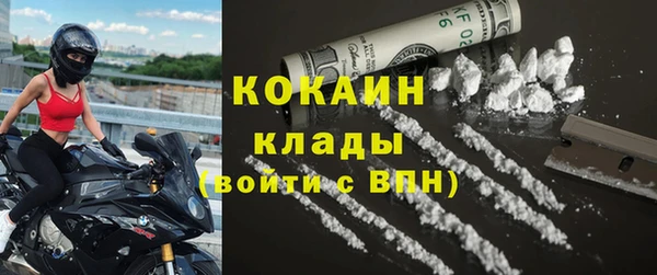 стаф Корсаков