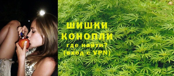 стаф Корсаков