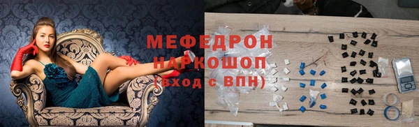 стаф Корсаков