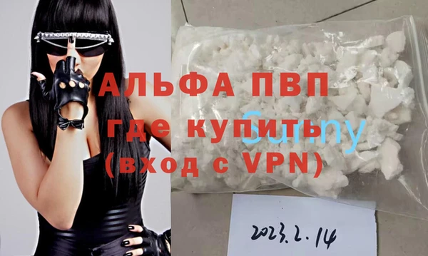шишки Краснослободск