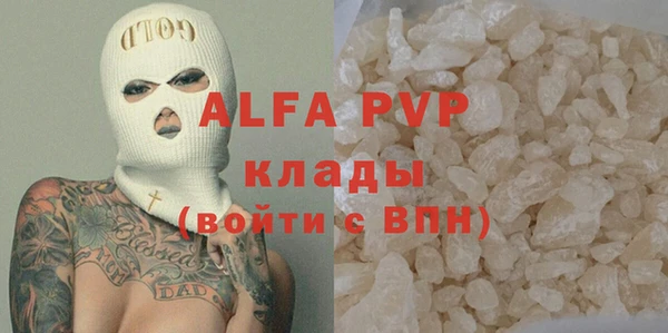 стаф Корсаков