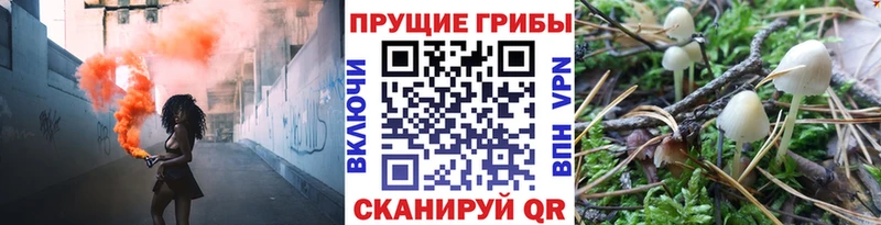 Псилоцибиновые грибы MAGIC MUSHROOMS Маркс